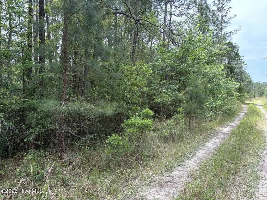 Picture 5
