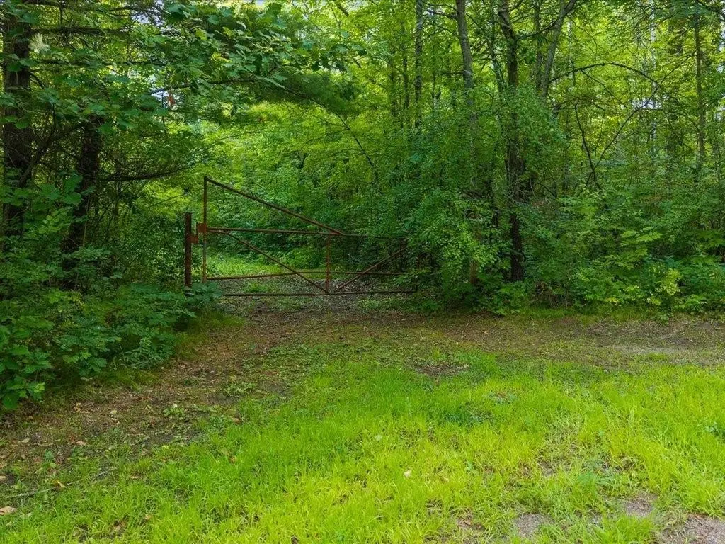 Picture 14