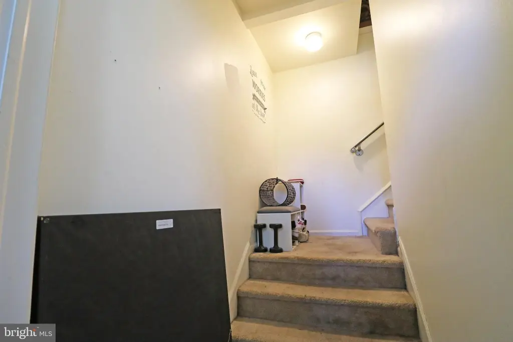 Picture 26