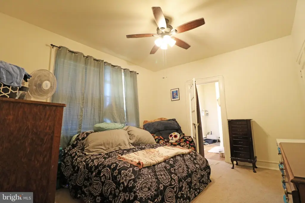 Picture 19