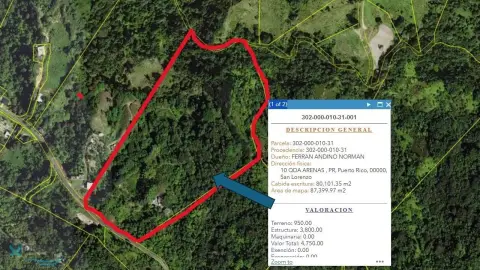 Agricultural Land in San Lorenzo