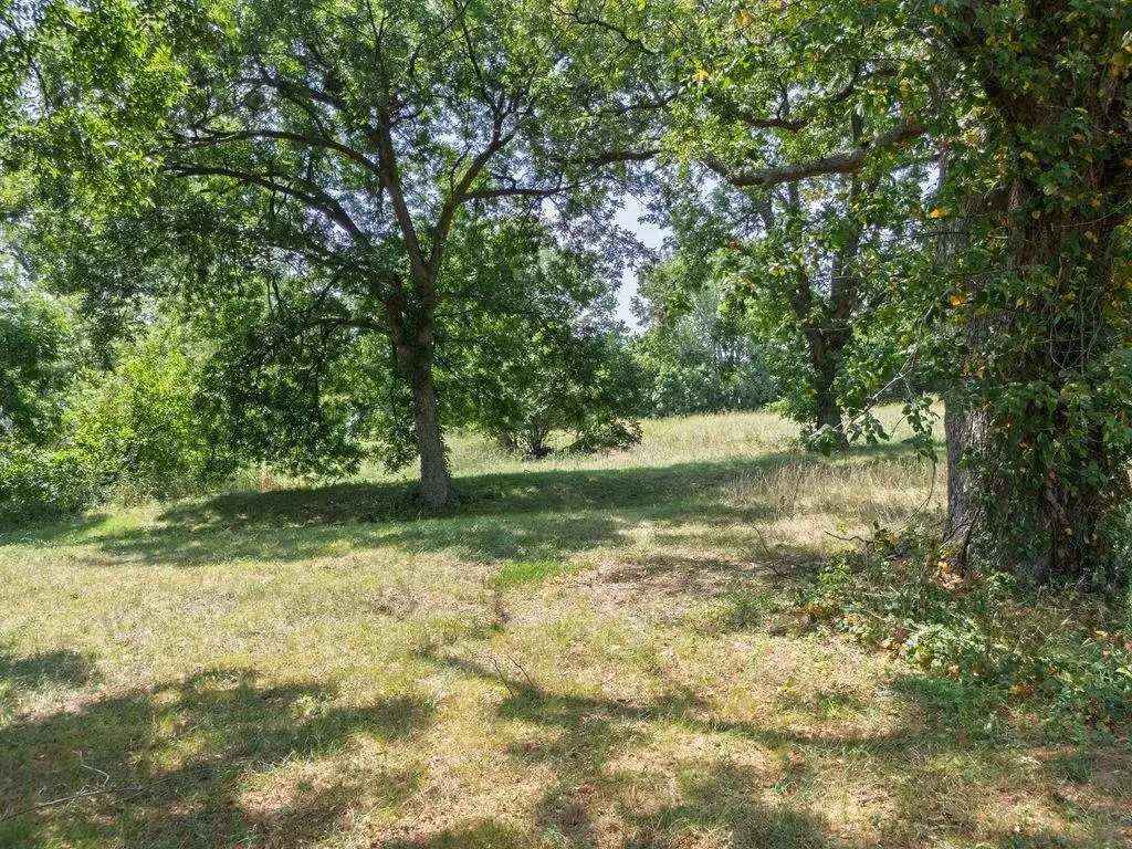 Picture 18