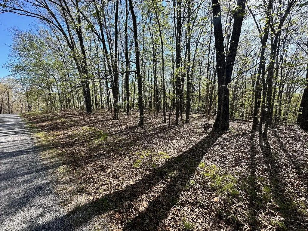 Picture 5