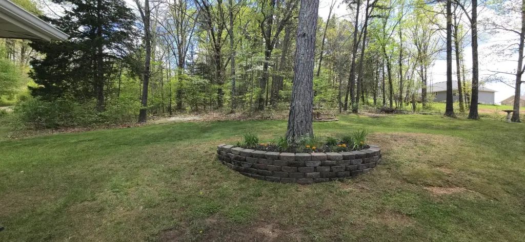 Picture 23