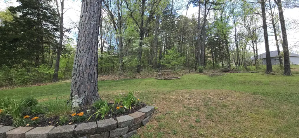 Picture 24