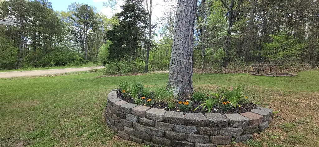 Picture 25