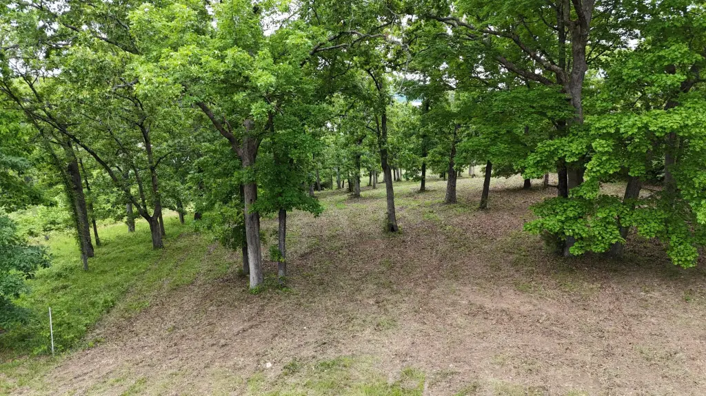 Picture 19