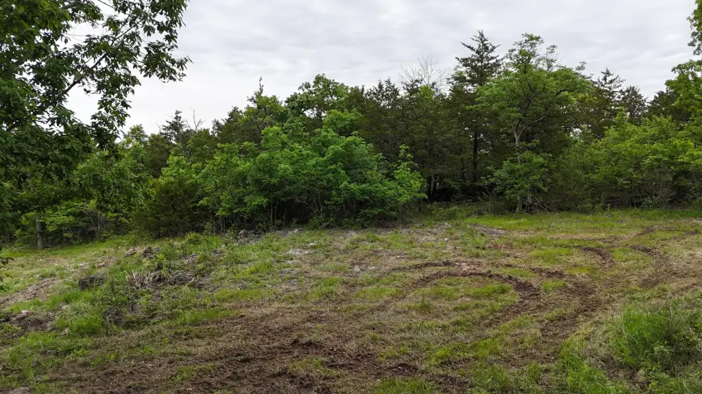 Picture 21