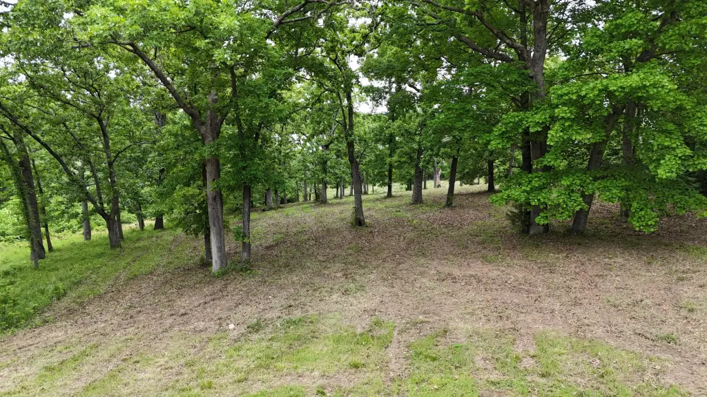 Picture 20