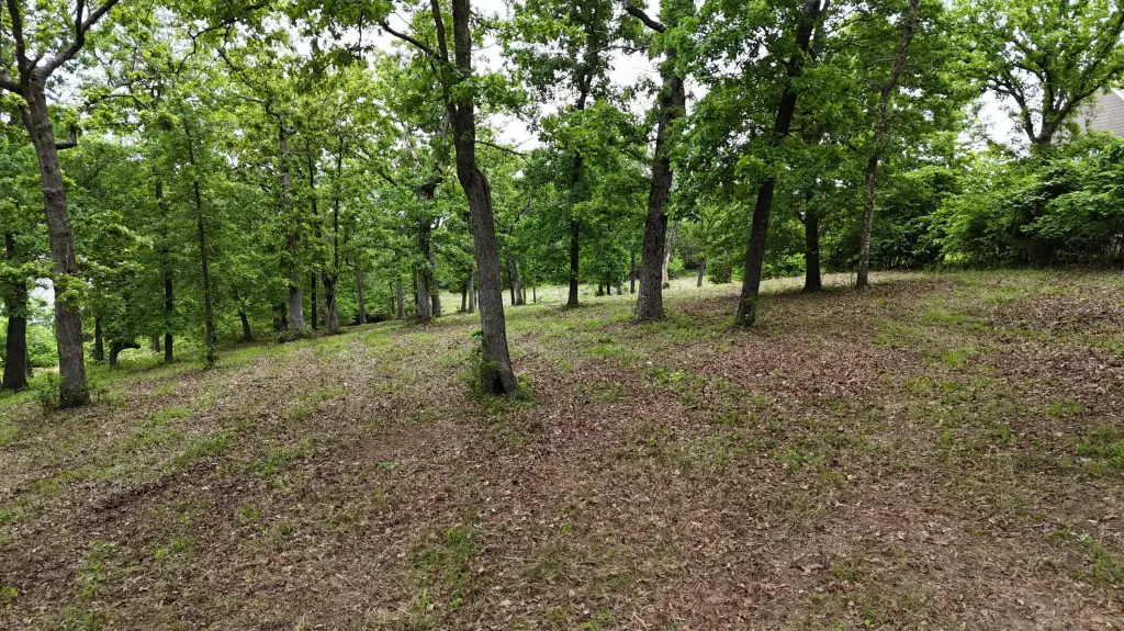 Picture 16