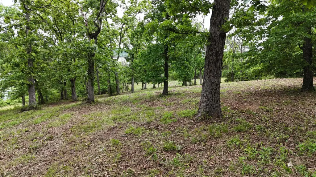 Picture 15