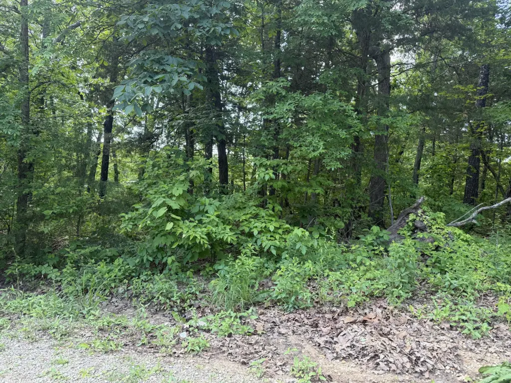 Picture 4