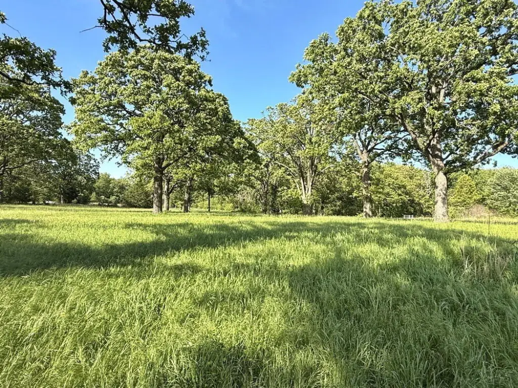 Picture 22