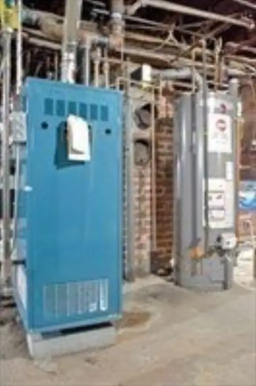 Picture 38