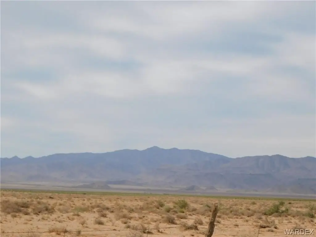 Picture 9