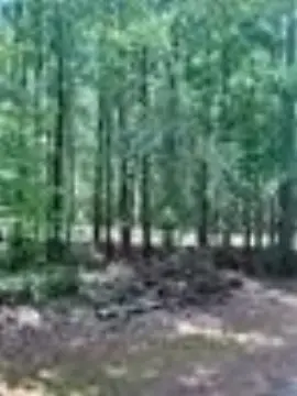 Residential Lot in Callison Estates