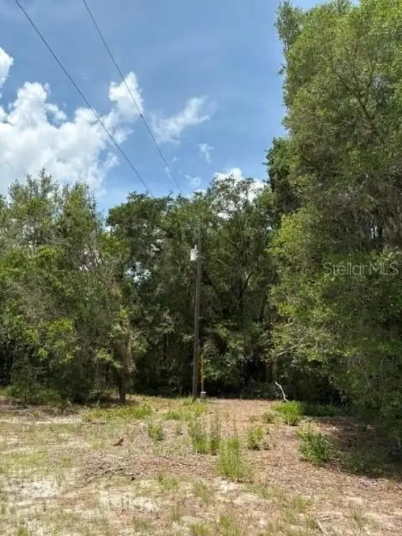 Picture 6