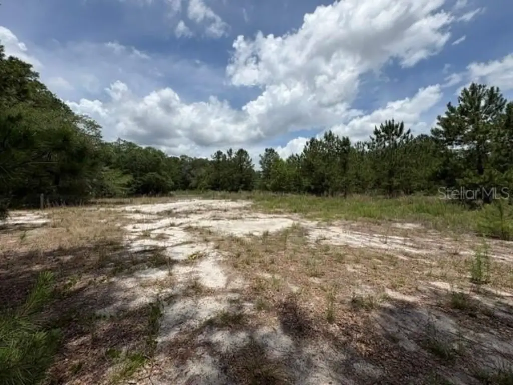Picture 10