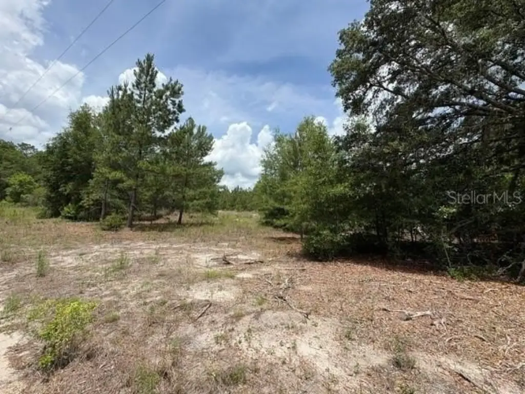 Picture 13