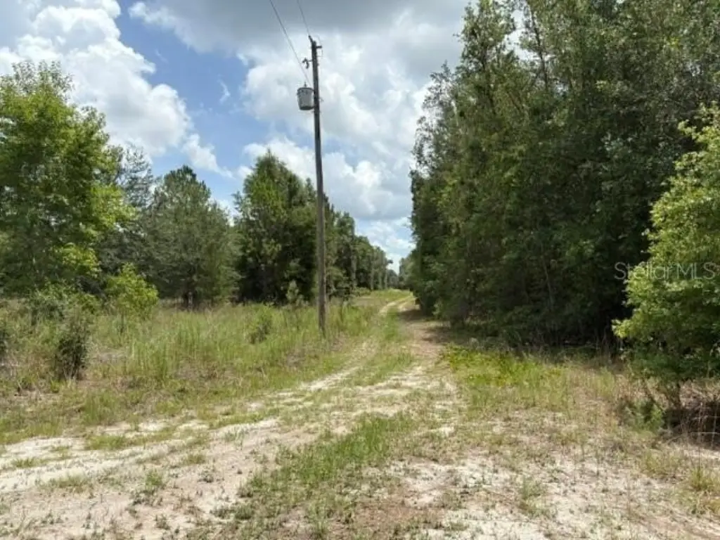 Picture 4