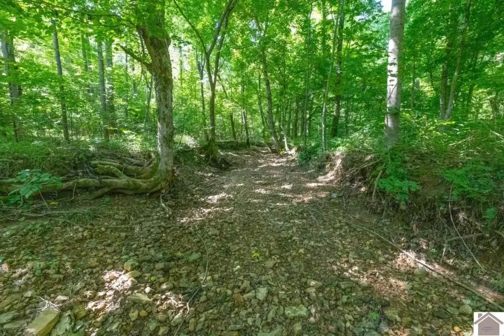Picture 7