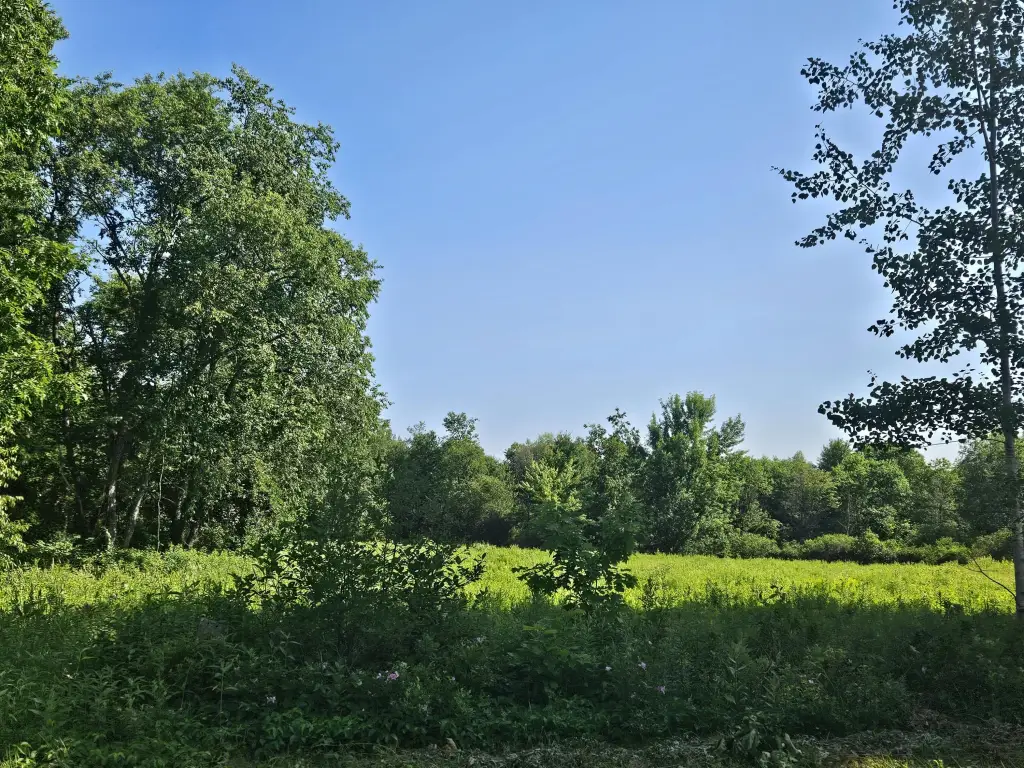 Picture 21