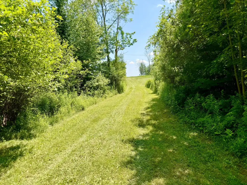 Picture 6