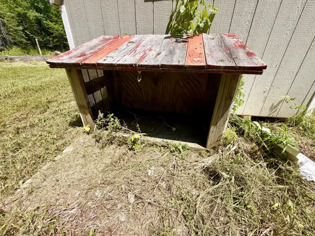 Picture 52