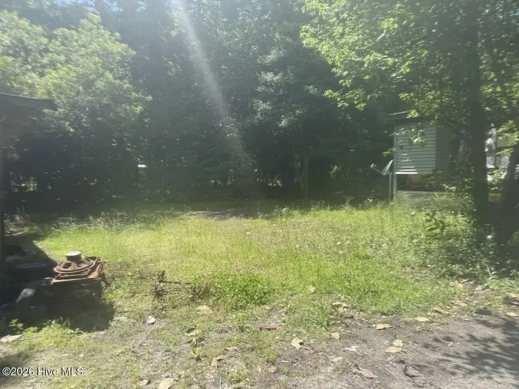 Picture 4