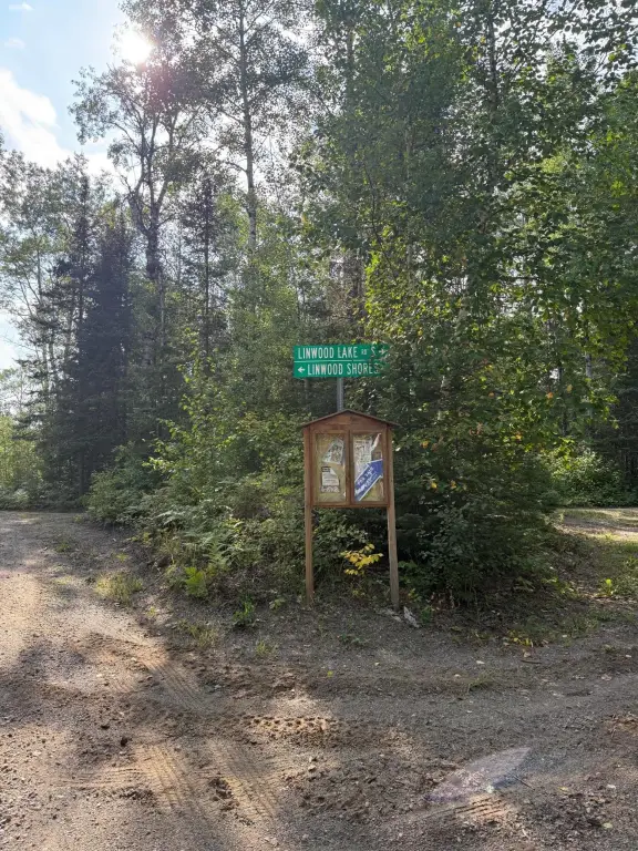 Picture 23
