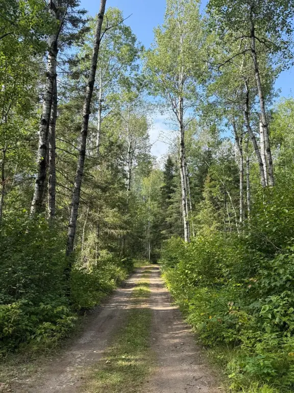 Picture 25
