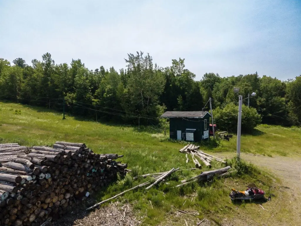 Picture 23