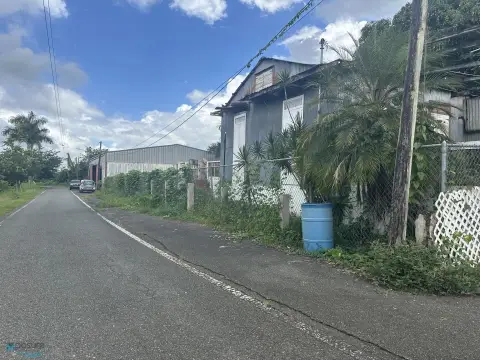 Farm with Processing Estate Potential