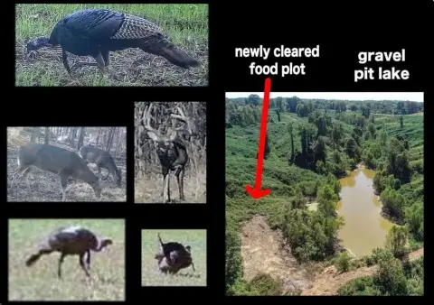 Tallahatchie Hunting Land with Varied Topography