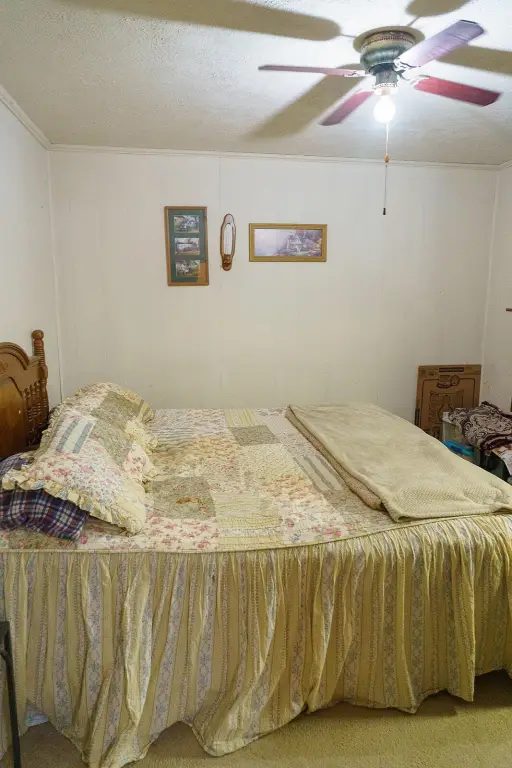 Picture 46