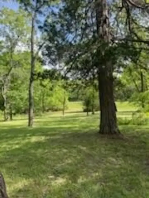 Picture 12