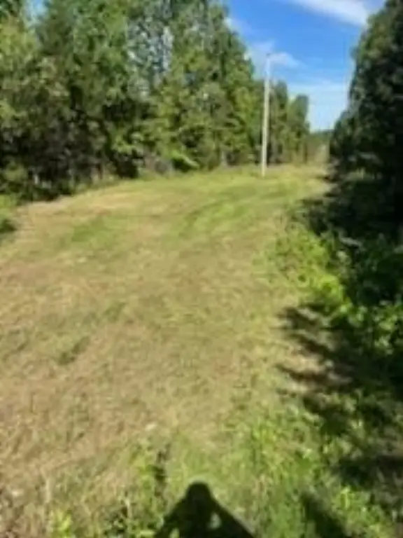 Picture 15