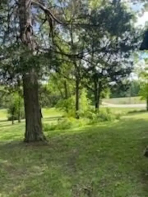 Picture 16