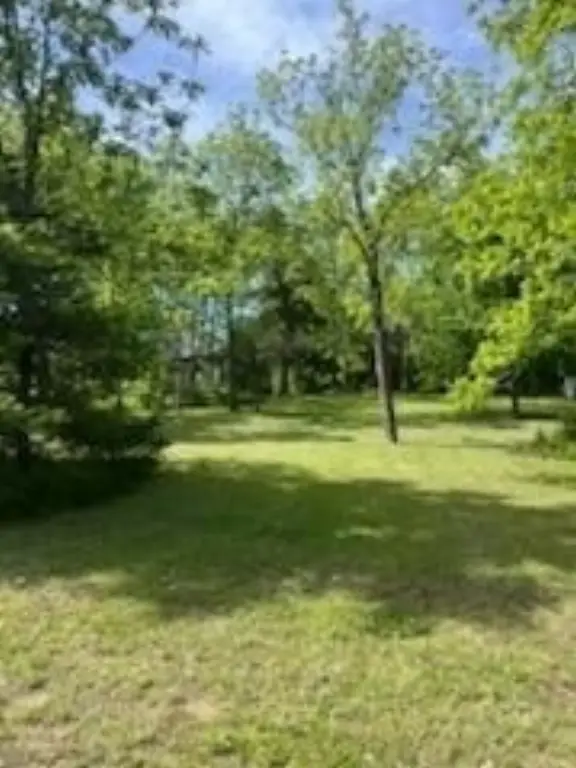 Picture 13