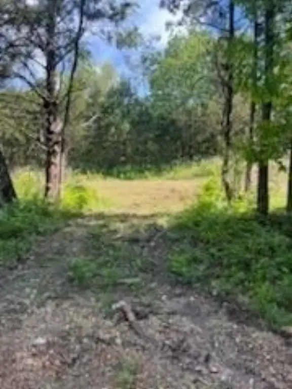 Picture 19
