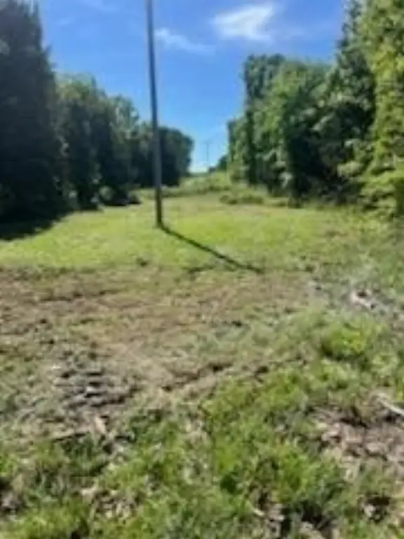 Picture 18