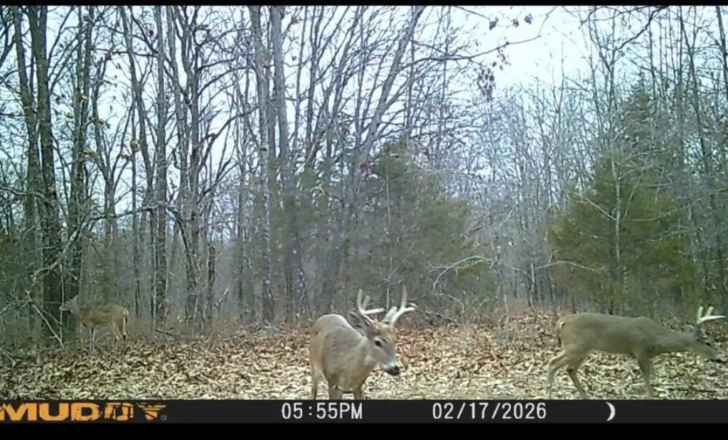 Picture 10
