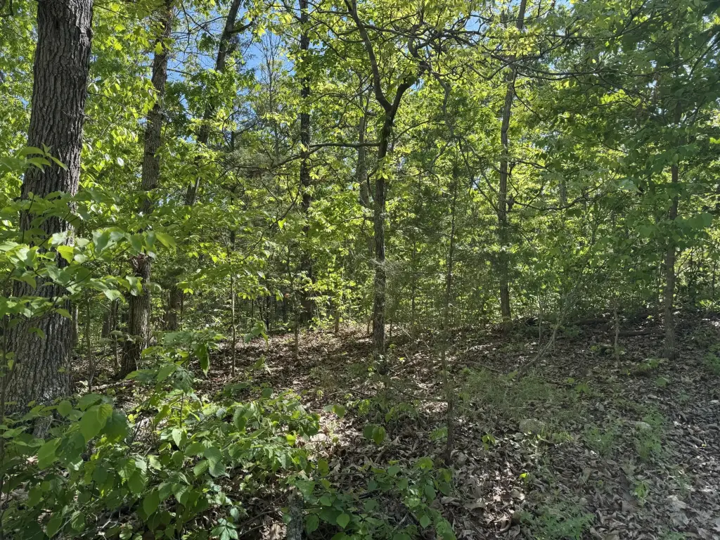 Picture 2