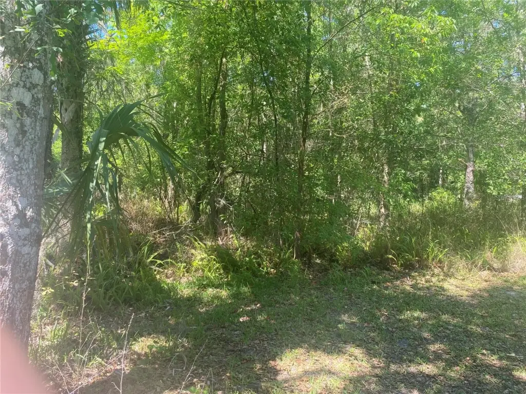 Picture 11