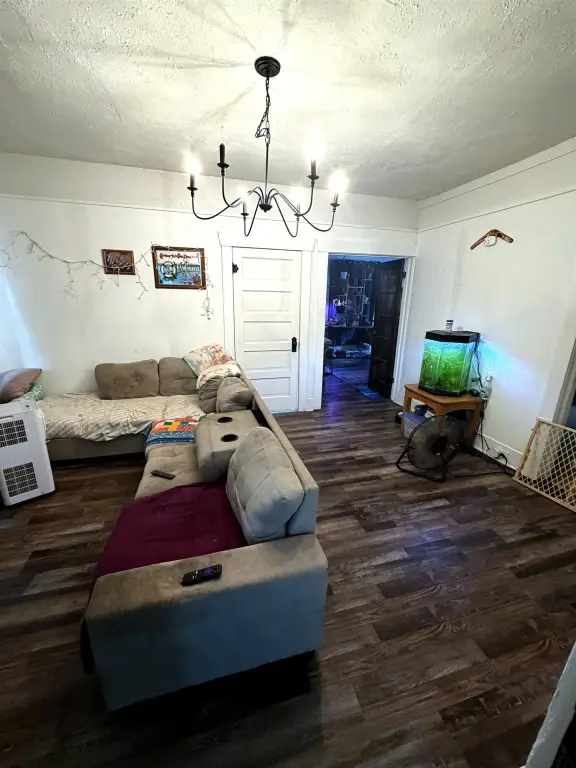 Picture 5