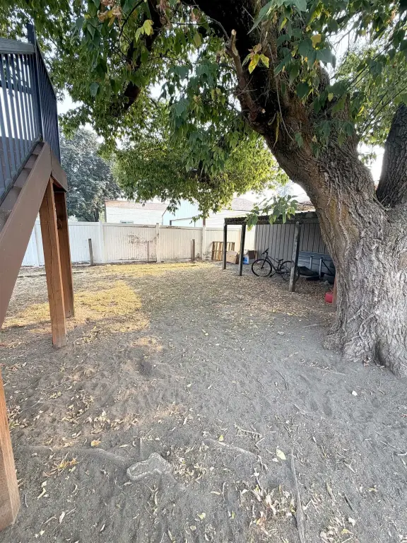 Picture 12