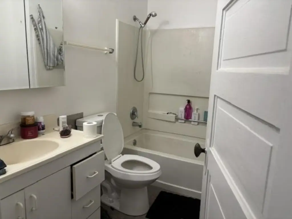 Picture 27