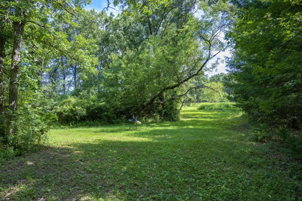 Picture 32