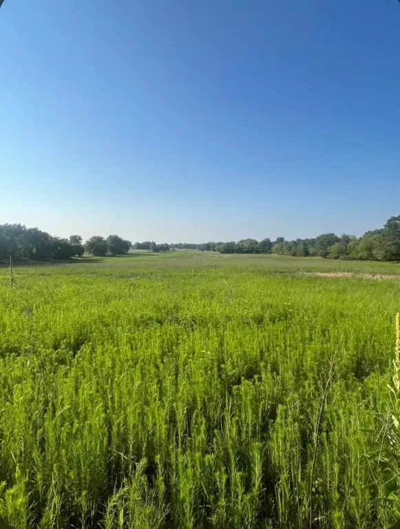 Picture 12