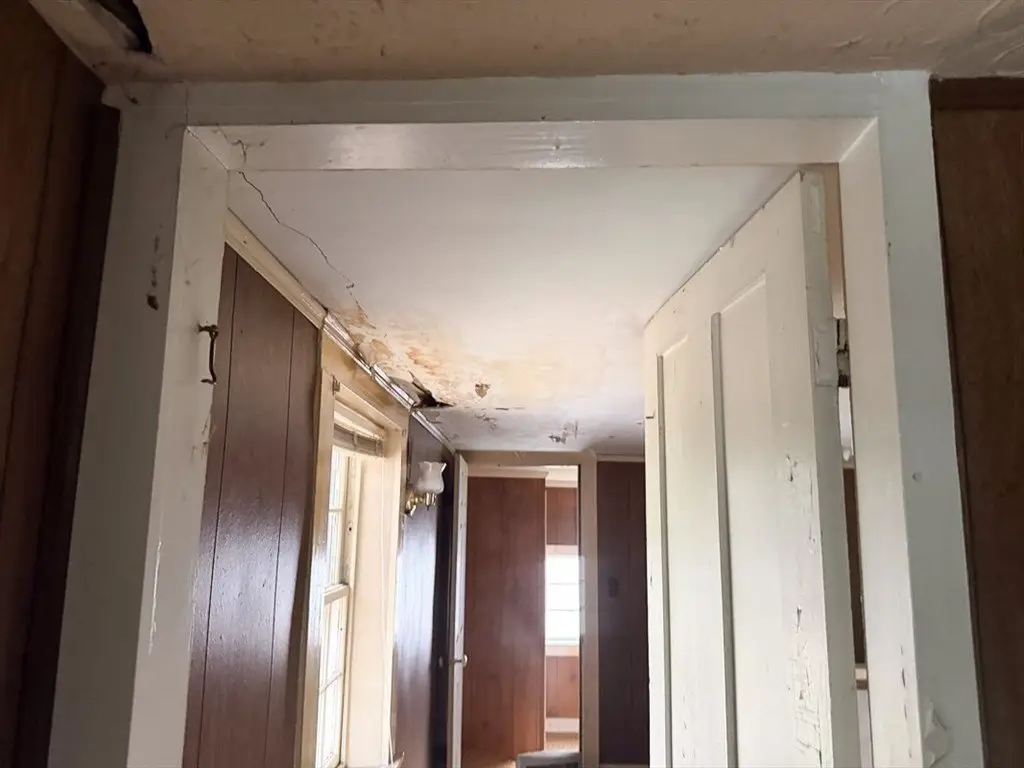 Picture 18